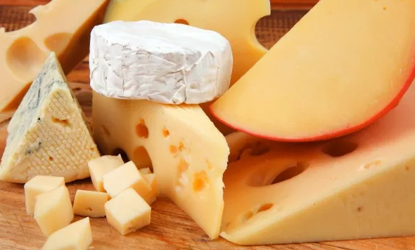 production  fromagère à  l'aide des  ferments  lactiques