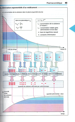 Elimination exponentielle dun médicament.jpg